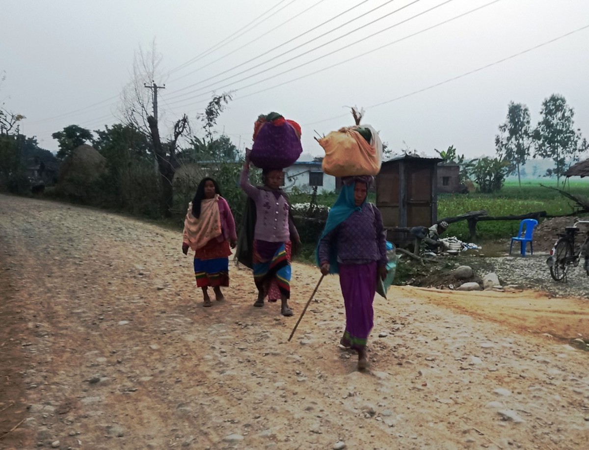 माघीमा कोशेली बोकेर माइतीमा जाँदै गरेका महिला