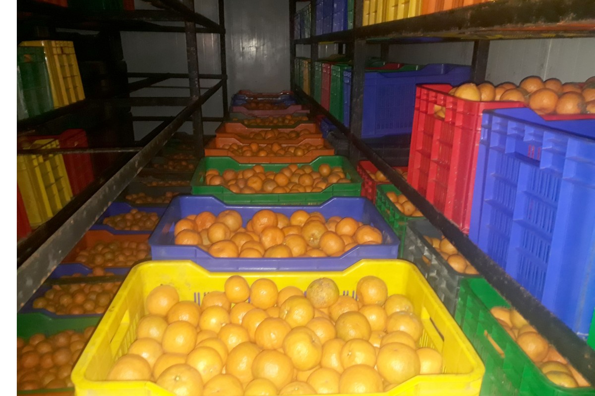 भण्डारण गृहमा राखिएको सुन्तला