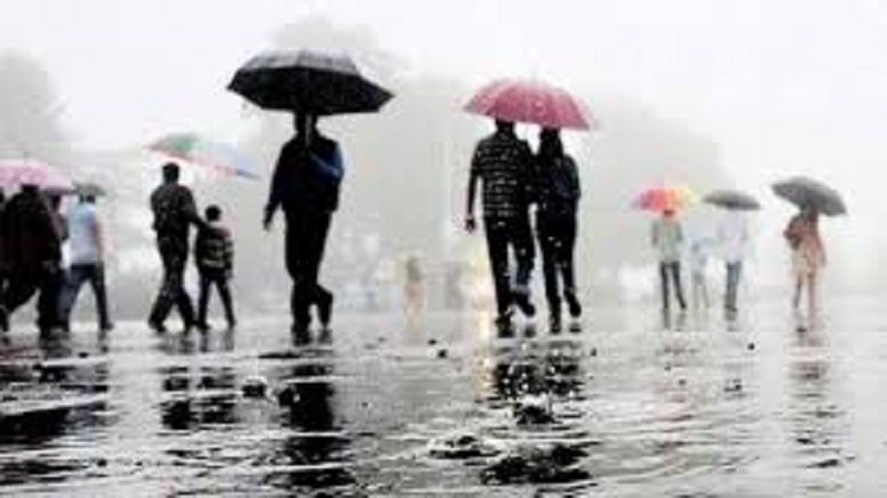 टिप्नुस्, छाता बोक्ने तालिका