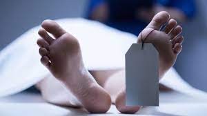 कोरियामै अस्ताए रामेछापका विष्णु श्रेष्ठ