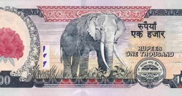 बल्खुका ट्राफिकलाई घुस दिने सवारी मित्र, थुनिए जेलभित्र !