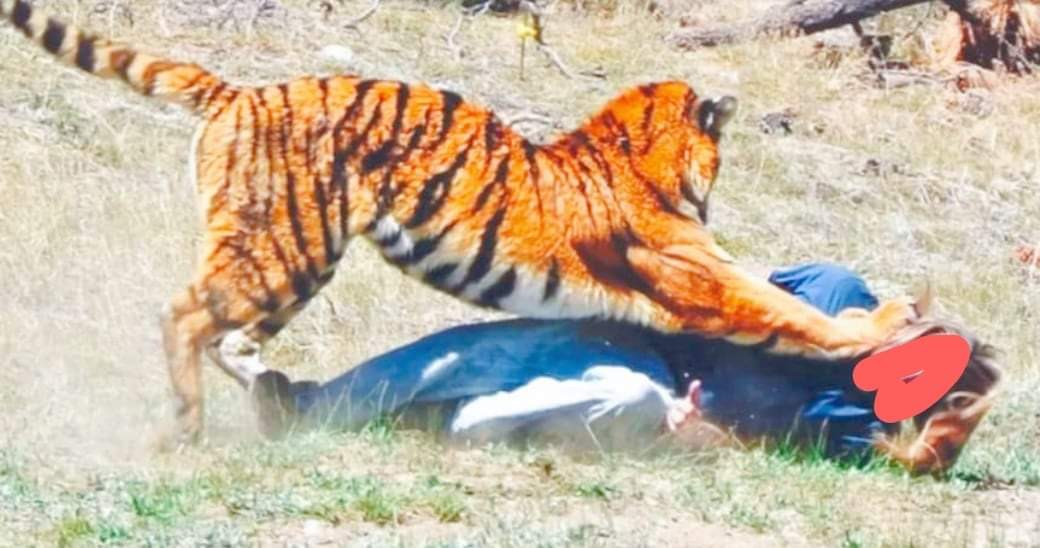बाघले झम्टिएपछि महिला ठहरै